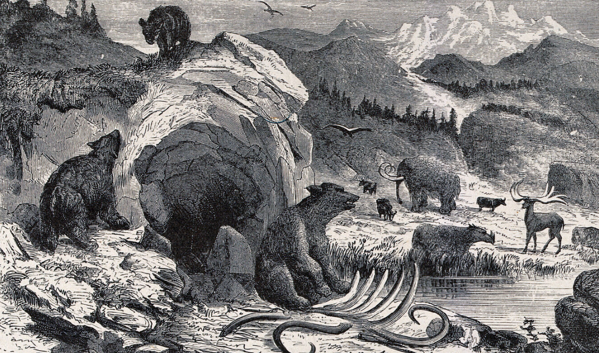 A wood engraving by Riou after E. Meunier title "An ideal landscape in the Quartenary epoch with bears, elks and mammoths."